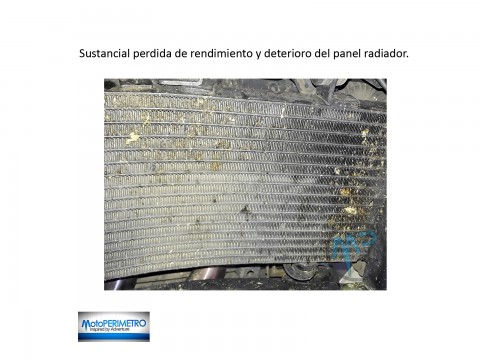 Motoperimetro 4956 Protector de Panel Radiador Rejilla Cubre Radiator MotoMorini X-Cape 700